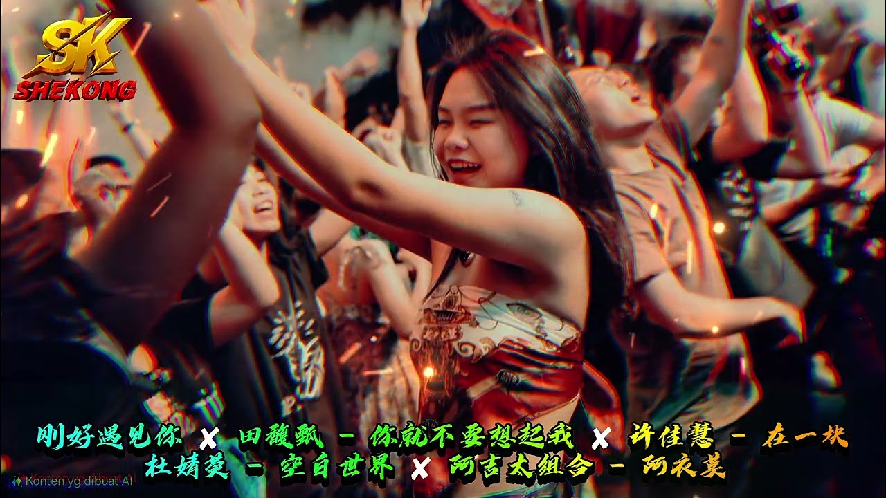 Best Chinese Dj Remix 2025 李玉刚 - 刚好遇见你 ✘ 田馥甄 - 你就不要想起我 ✘ 许佳慧 - 在一块 ✘ 杜婧荧 - 空白世界 ✘ 阿吉太组合 - 阿衣莫