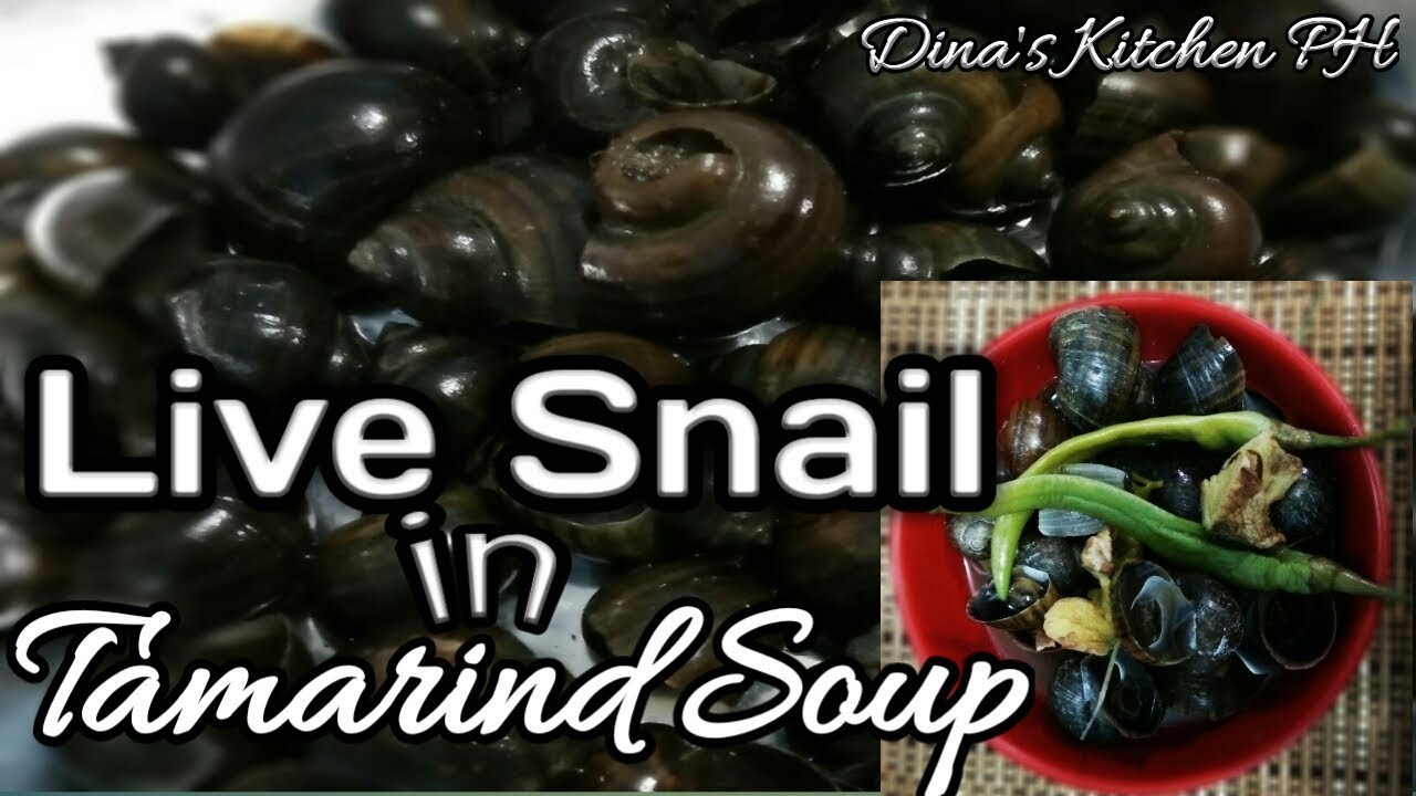 LIVE SNAIL(KUHOL) IN TAMARIND SOUP | How to cook live snails (kuhol) | Ep. 14