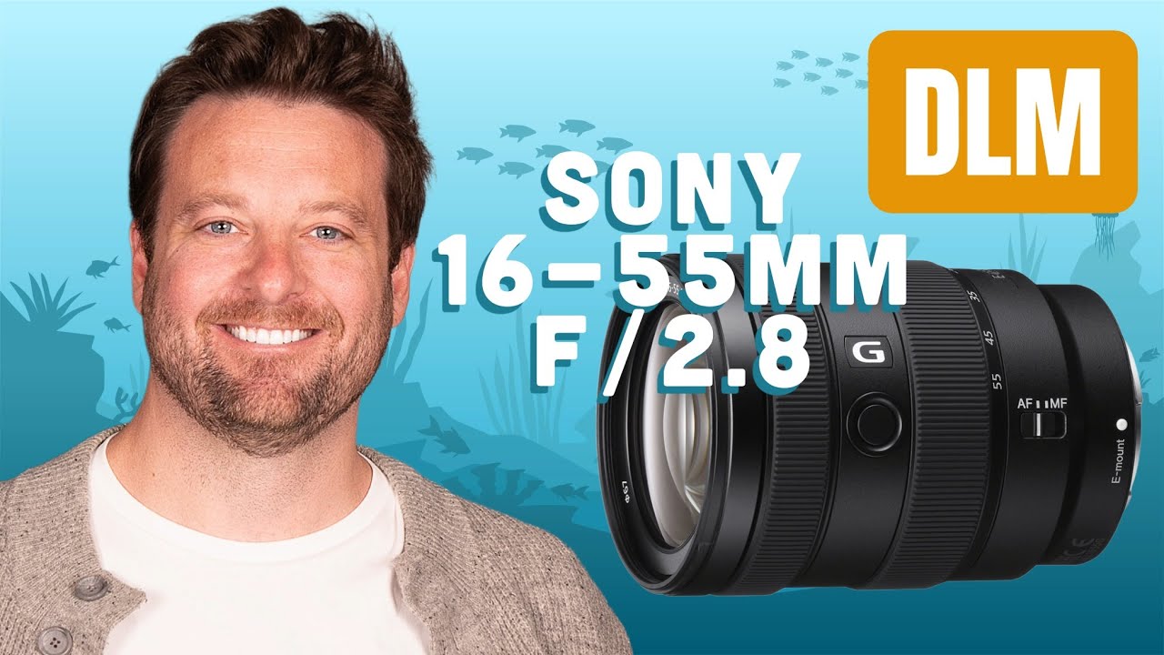 Sony 16-55mm f/2.8 G // Настройка подводного бокса Ikelite 200DLM