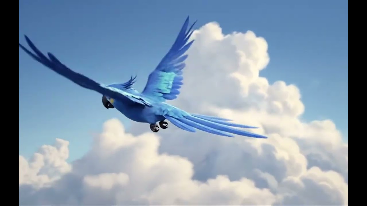 Arara Azul 