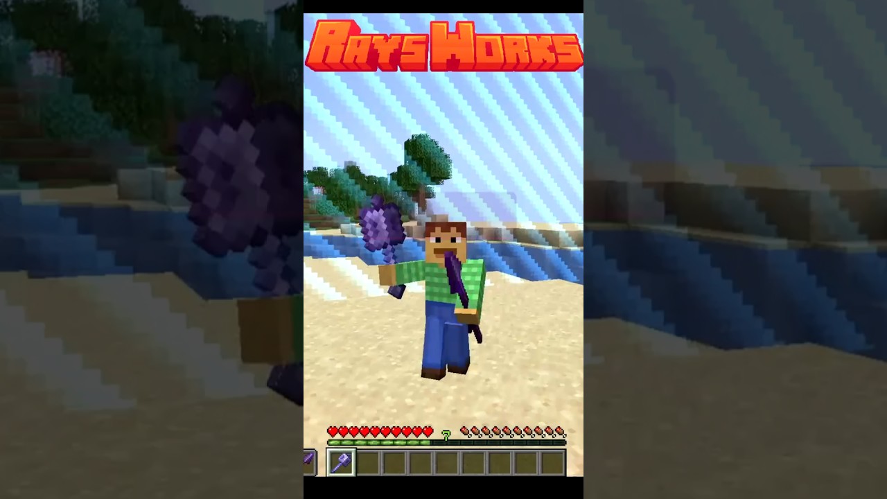 Spear GLITCH to World Border of Minecraft...