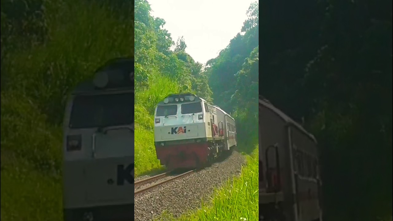 indonesiantrains passing through Mount Mandalare