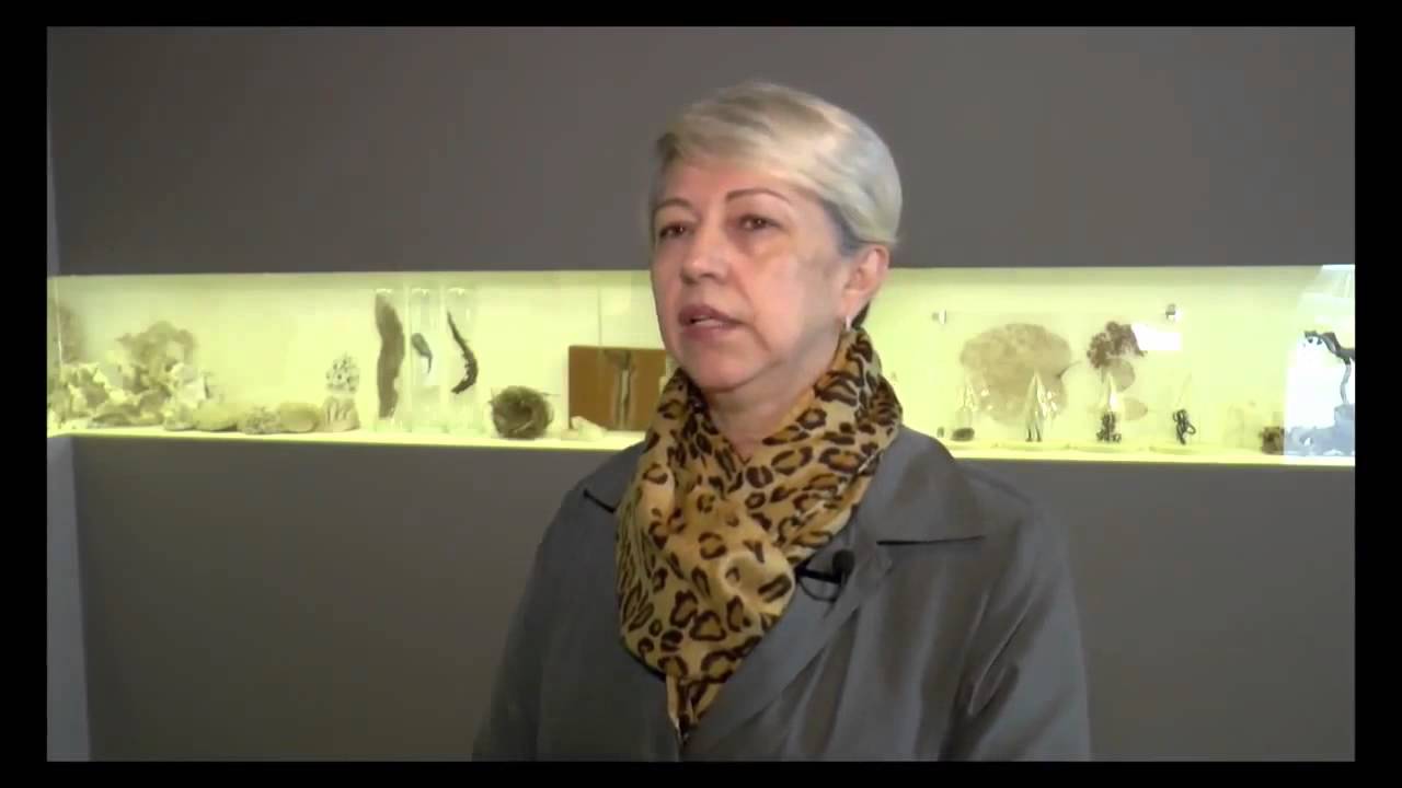 Conhe&ccedil;a o Museu de Arte Contempor&acirc;nea de Sorocaba e a artista Iza Figueiredo