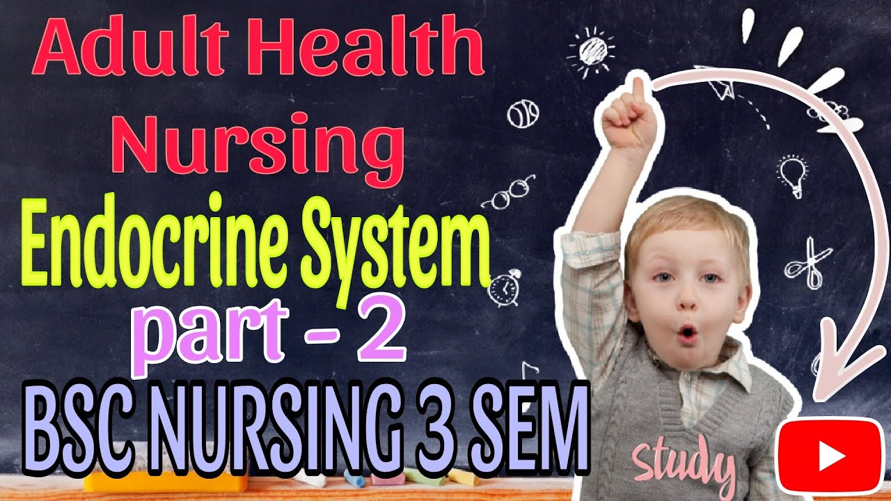 Endocrine System| Part - 2 | AHN | BSC NURSING 3 SEMESTER