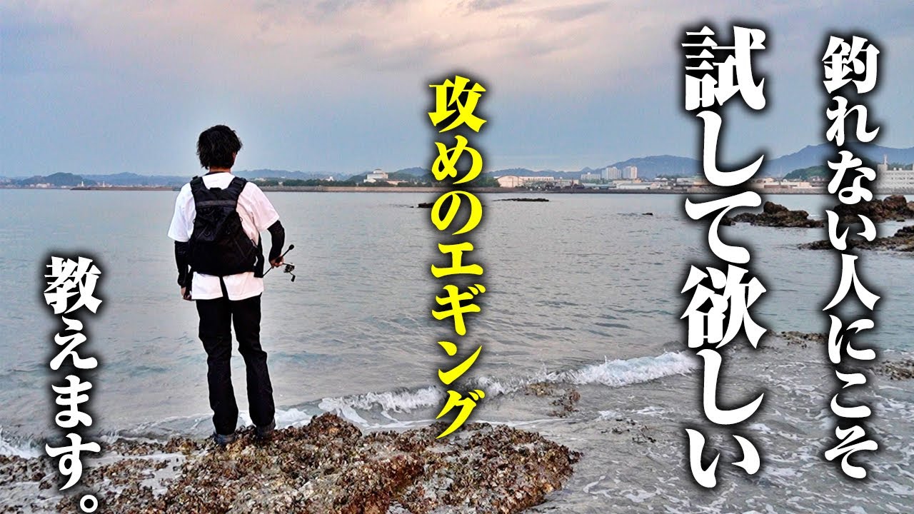 エギング嫌い/苦手な人にこそ試して欲しい！攻めのエギング教えます。