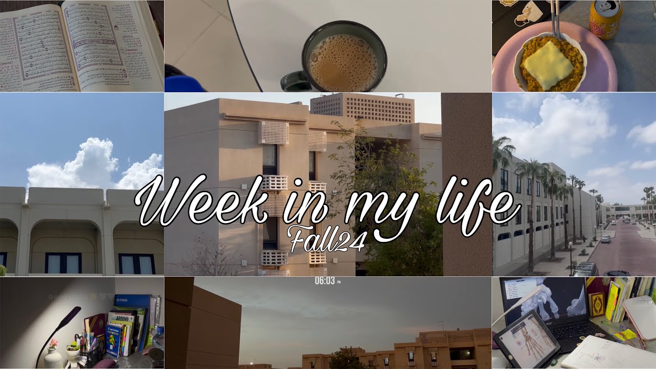 اسبوع في حياة جامِعيّه|week in my life at university🏫🤍🌷💫      #جامعة_السلطان_قابوس #اكسبلور #oman