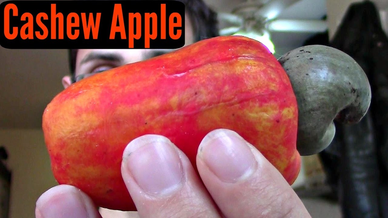 Cashew Apple Review - Weird Fruit Explorer Ep. 186