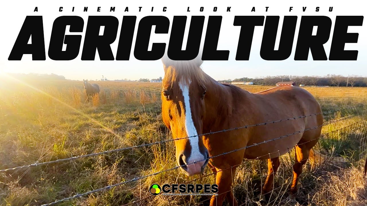 A Cinematic look at FVSU Agriculture www.cfsrpes.com