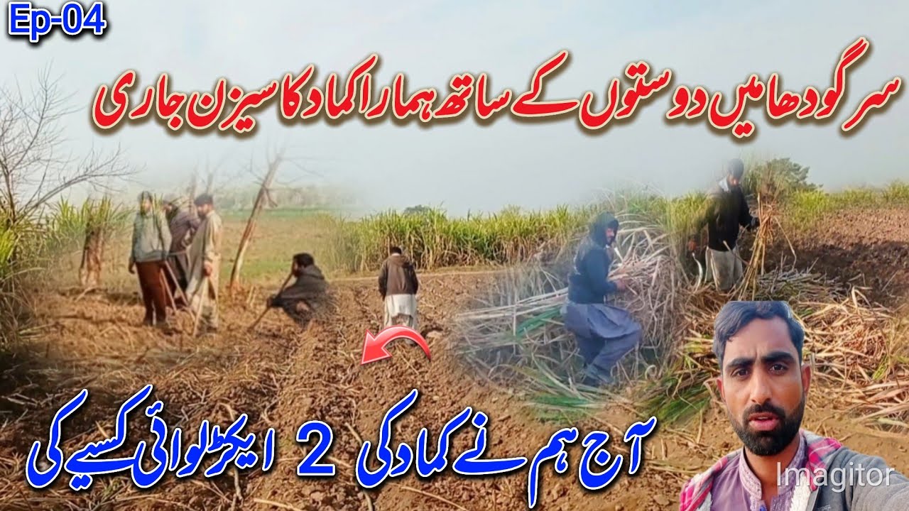 sargodha me kamad sisoin aaj hum ne kamad ki lawi kese ki