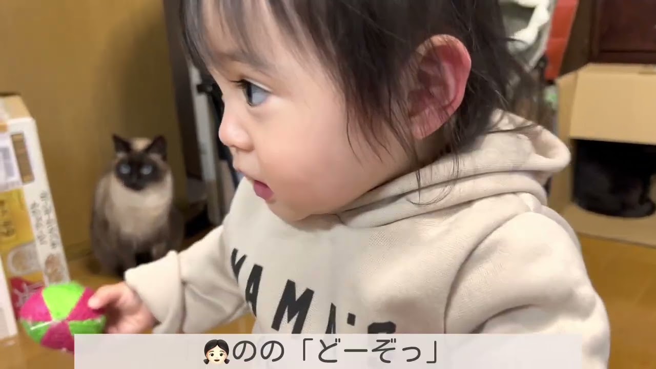 Super Cute Japanese Twin Little Babies.