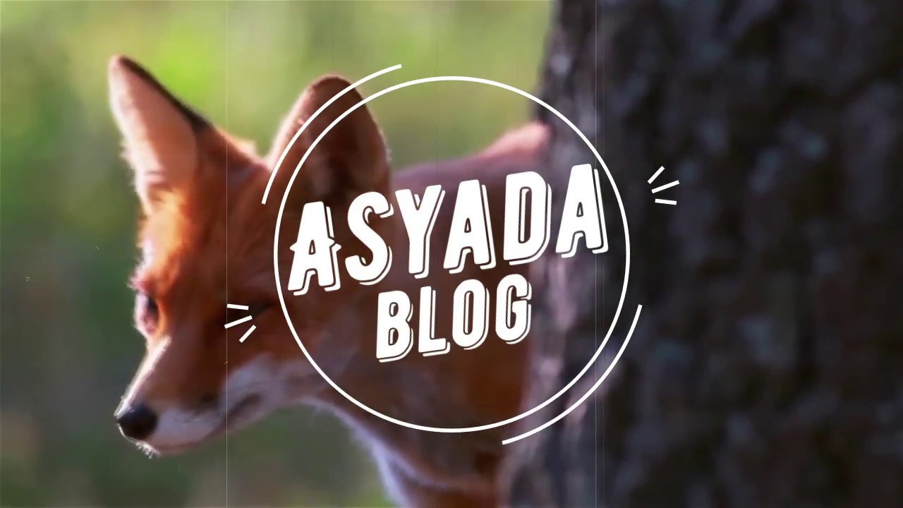 Интуитивный СОЦ-ЭКСПЕРИМЕНТ. Люди. Как тебя видят со стороны. AsyAda VLOG. 3 выпуск &mdash; Москва.