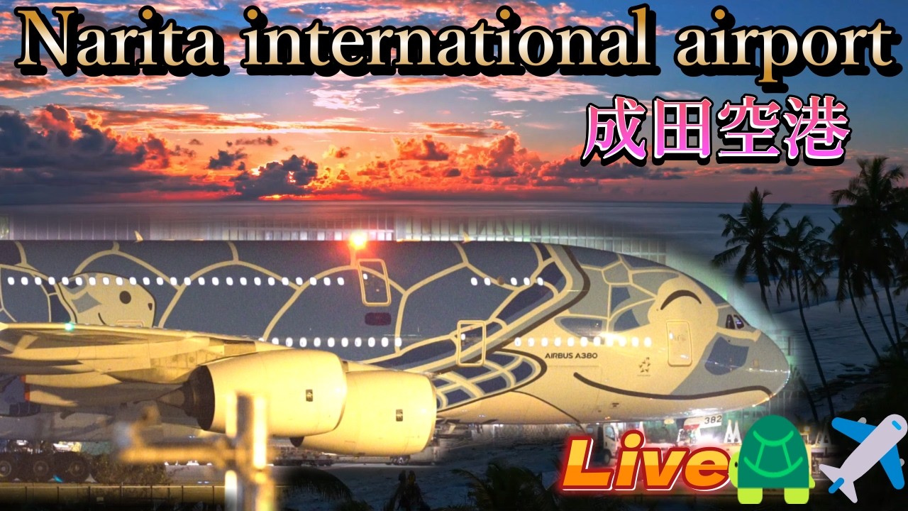 🐢✈️【2026/03/05❷】✈️成田空港🛬本生📸中継 ライブ配信 【✈️Narita international airport ⌚𝐫𝐞𝐚𝐥 𝐭𝐢𝐦𝐞📸 Live】#live