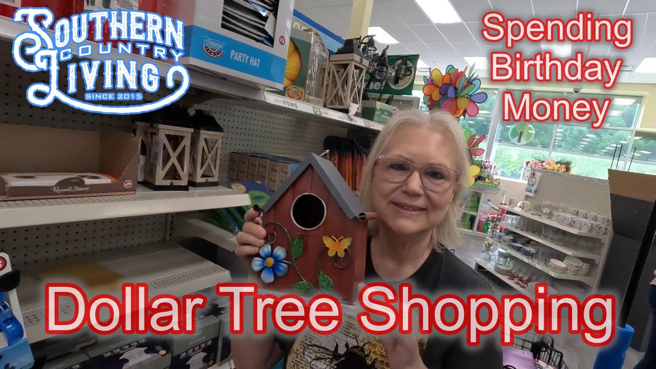 Dollar Tree Shopping Haul  --  Spending Birthday Money