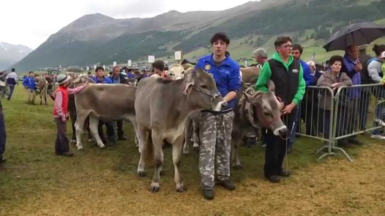 1° ed. Alpen Fest a Livigno