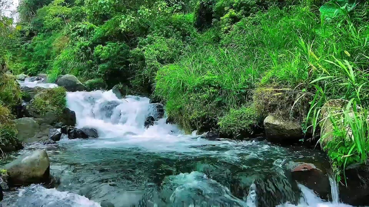 Gentle river sounds for relaxation and meditation