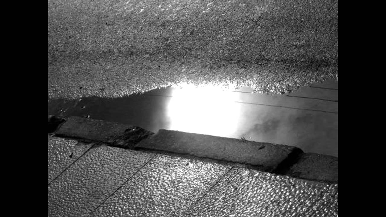Pablo Hasél,,, Reflejados en charcos y bilis