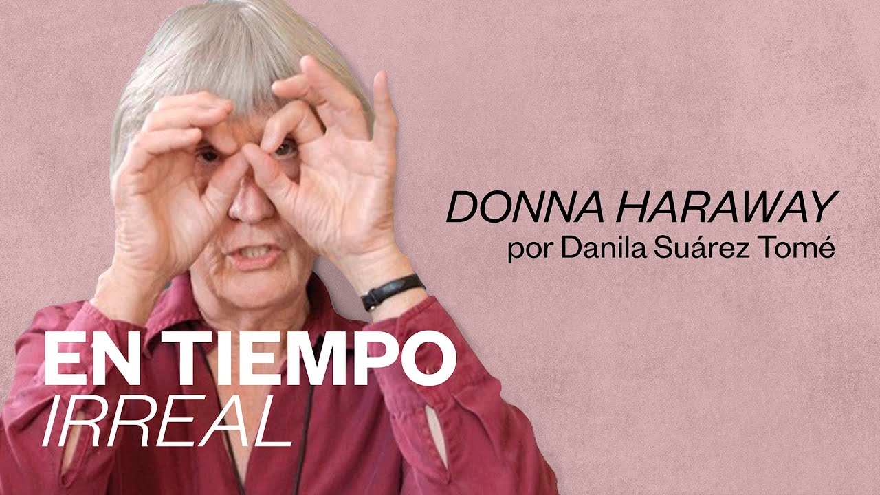 En tiempo irreal | Donna Haraway por Danila Suárez Tomé