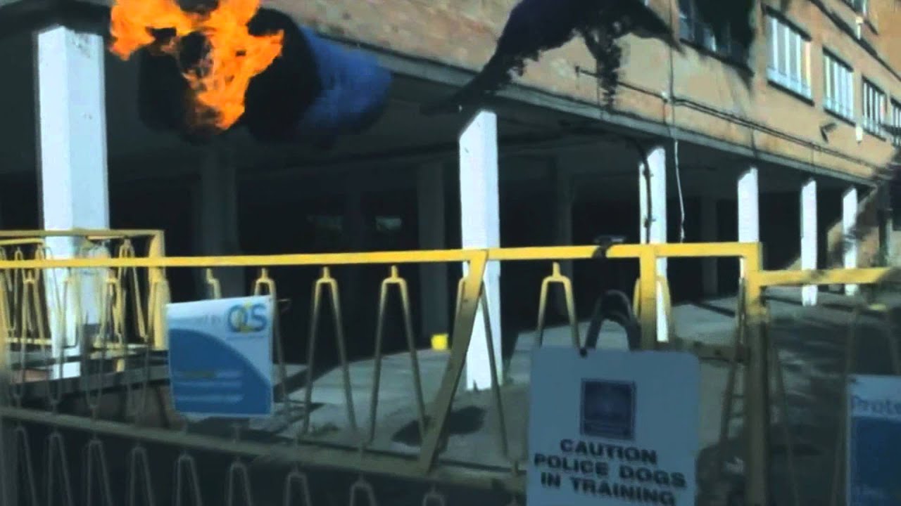 Greatest extreme sports video