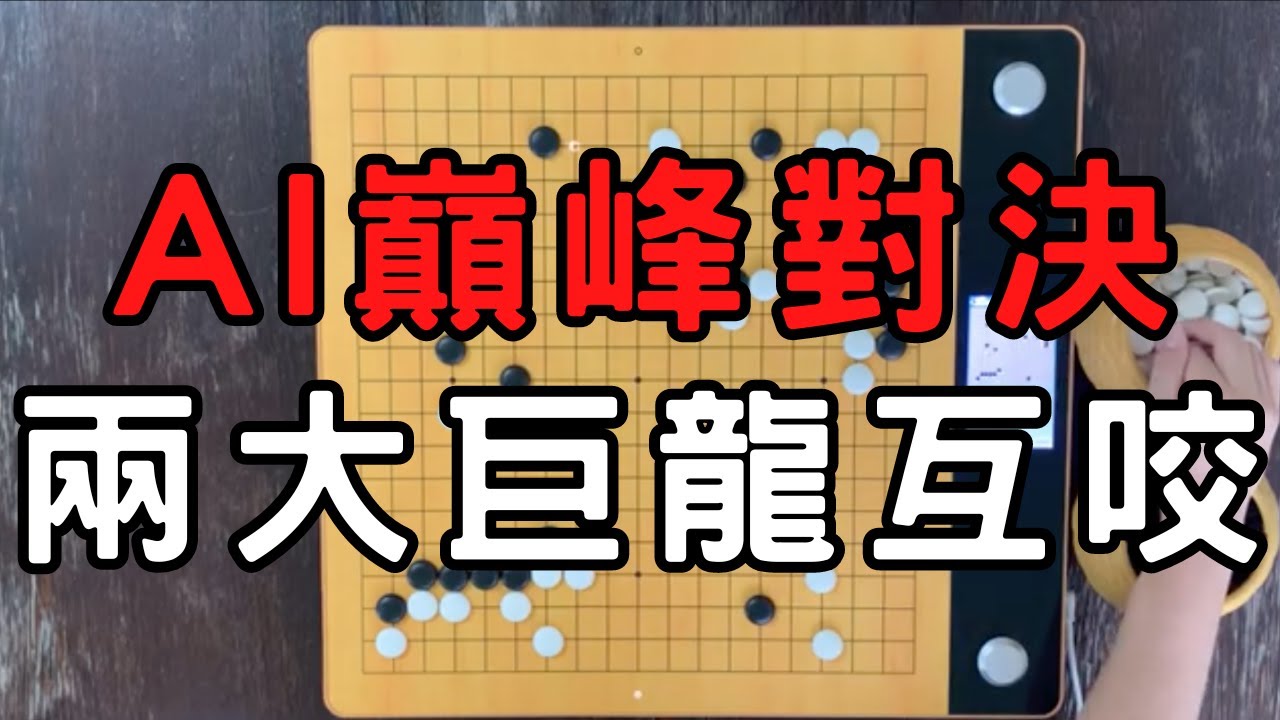 AI圍棋巔峰對決，兩條巨龍互咬，形成百目大對殺的局面｜KataGo(黑) VS 狗爹(白)｜GoGo先生