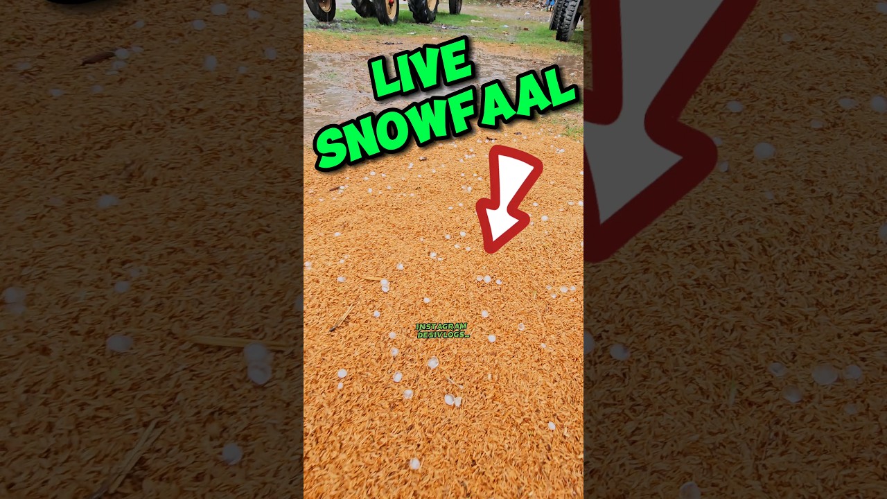 LIVE SNOWFAAL DEKHA HAI 🫣 || EP-158 || #shorts #youtubeshorts #viralshorts #minivlog #desivlogs