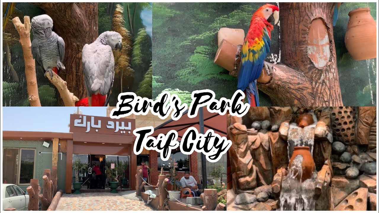 Bird's Park | Taif City | Heaven in Saudi Arabia