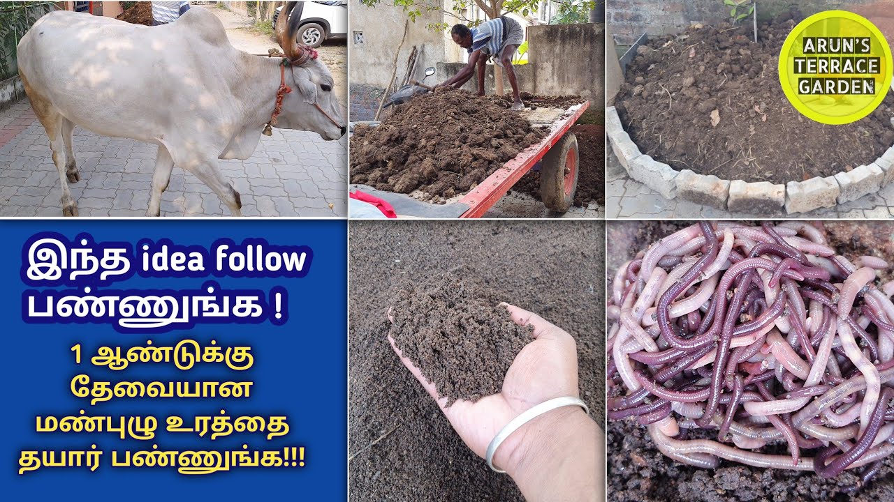 வீட்டில் மண்புழு உரம் தயாரிப்பது எப்படி? simple method to make vermicompost at home
