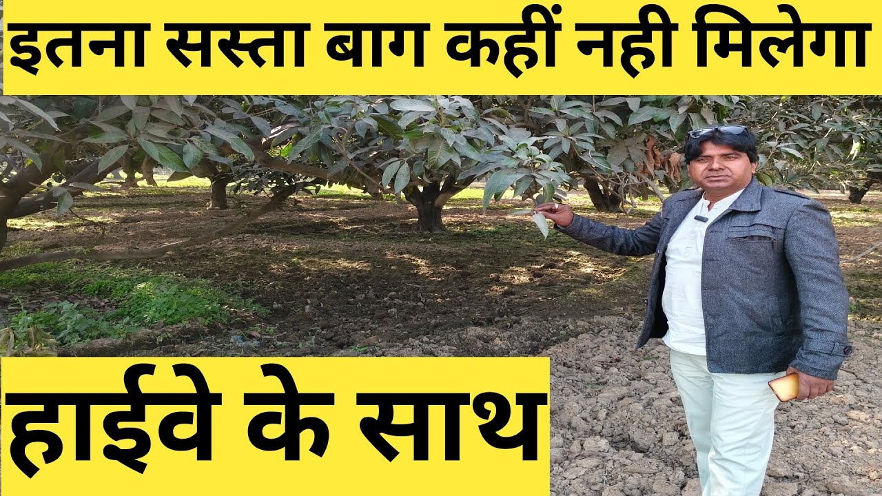 यह खेती की जमीन बिकाऊ है ✅ l इतना सस्ता बगीचा कहीं नहीं मिलेगा 💯 l हाईवे साथ बिल्कुल सस्ता #property