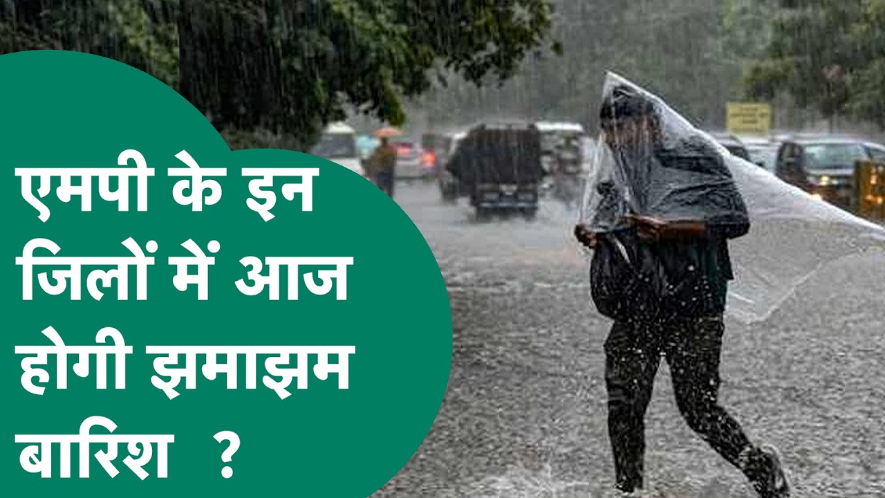 MP Weather News: मौसम विभाग ने इन जिलों में बारिश का येलो अलर्ट किया जारी ! | MP Tak