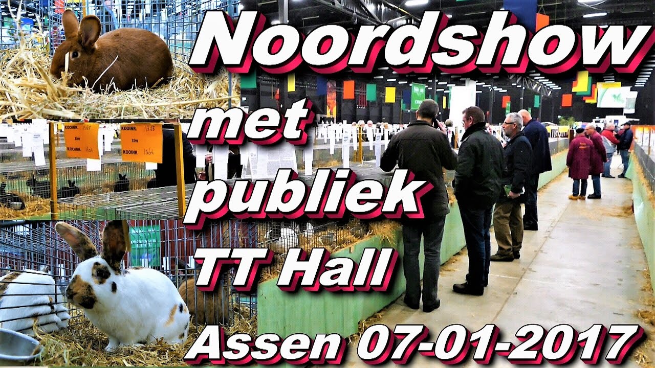 De Noordshow met publiek TT Hall Assen 7 01 2017