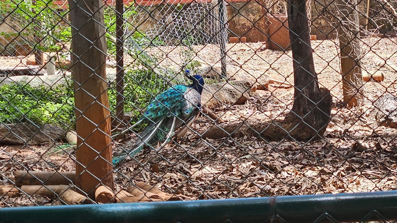 Um passeio pelo PARQUE DO SABI&Aacute; em Uberl&acirc;ndia- MG 