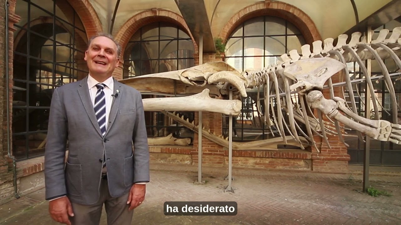 ANTONIO RANCATI - Un percorso al servizio dell'ambiente