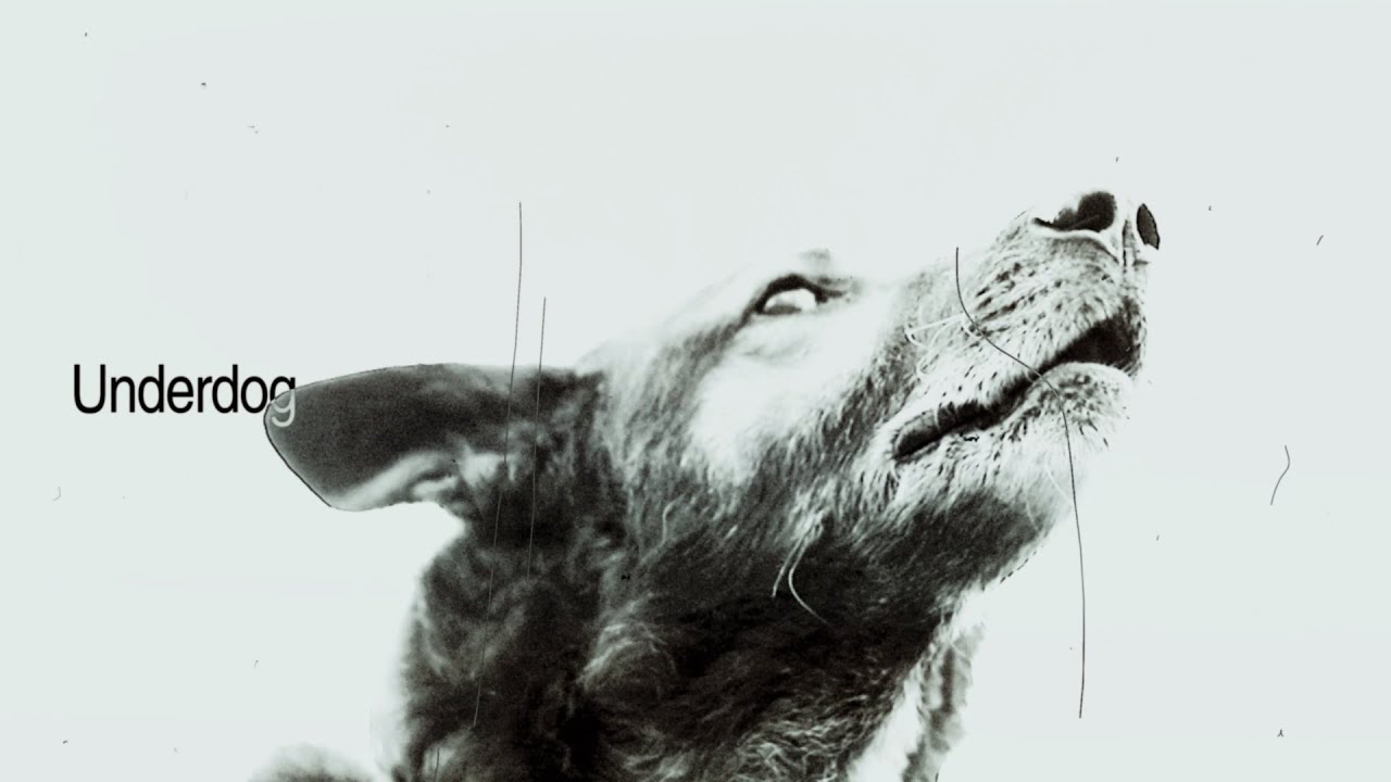 Underdog