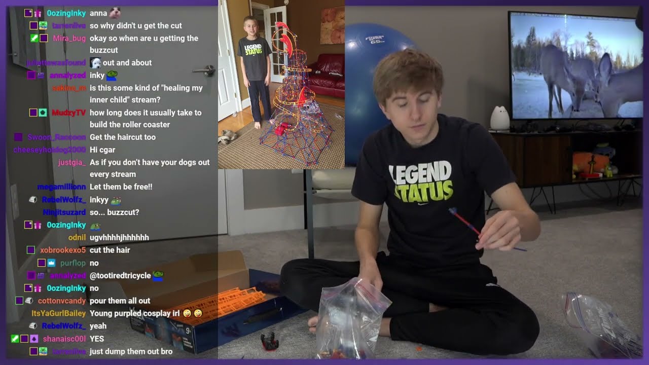 Purpled VOD | BUILDING ROLLER COASTER ! | Jan 27, 2023