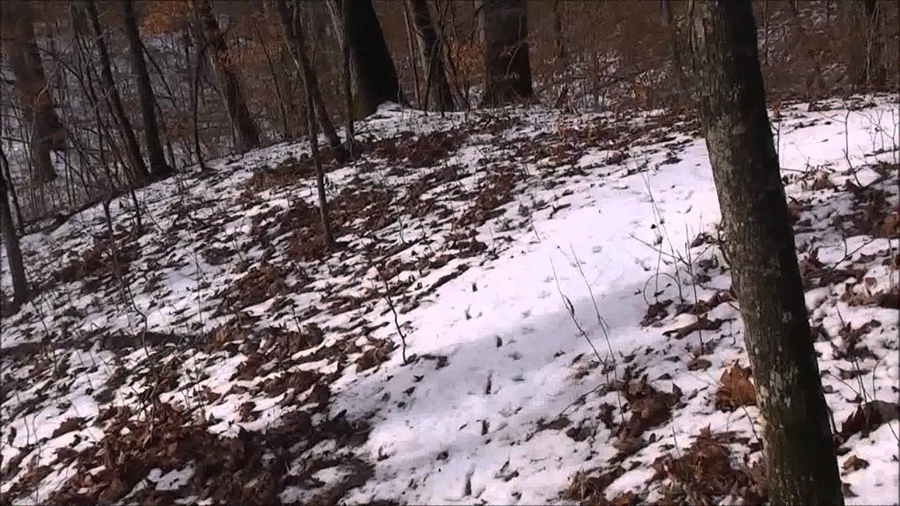 Mark Twain National Forest, Cedar Creek Area 01/11/2014 - 01/12/2014 Part 1 of 5