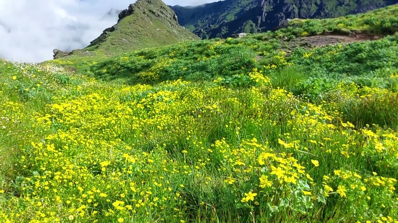 North Dhading  district Rubi valley municipality.of best trekking distination in Nepal.