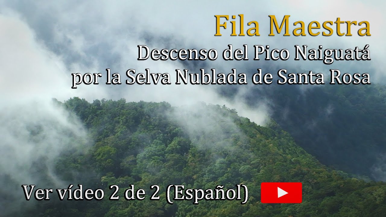FILA MAESTRA (Video 2 de 2) - CINCO CUMBRES (Avila, Occidental, Oriental, Naiguatá, Topo Sta.Rosa).