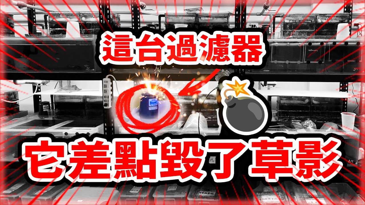 清潔+降噪一次搞定！上部過濾器大改造實錄