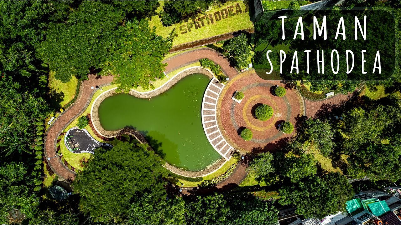 Wisata Alam Gratis di Kawasan Elite Jaksel, Taman Spathodea