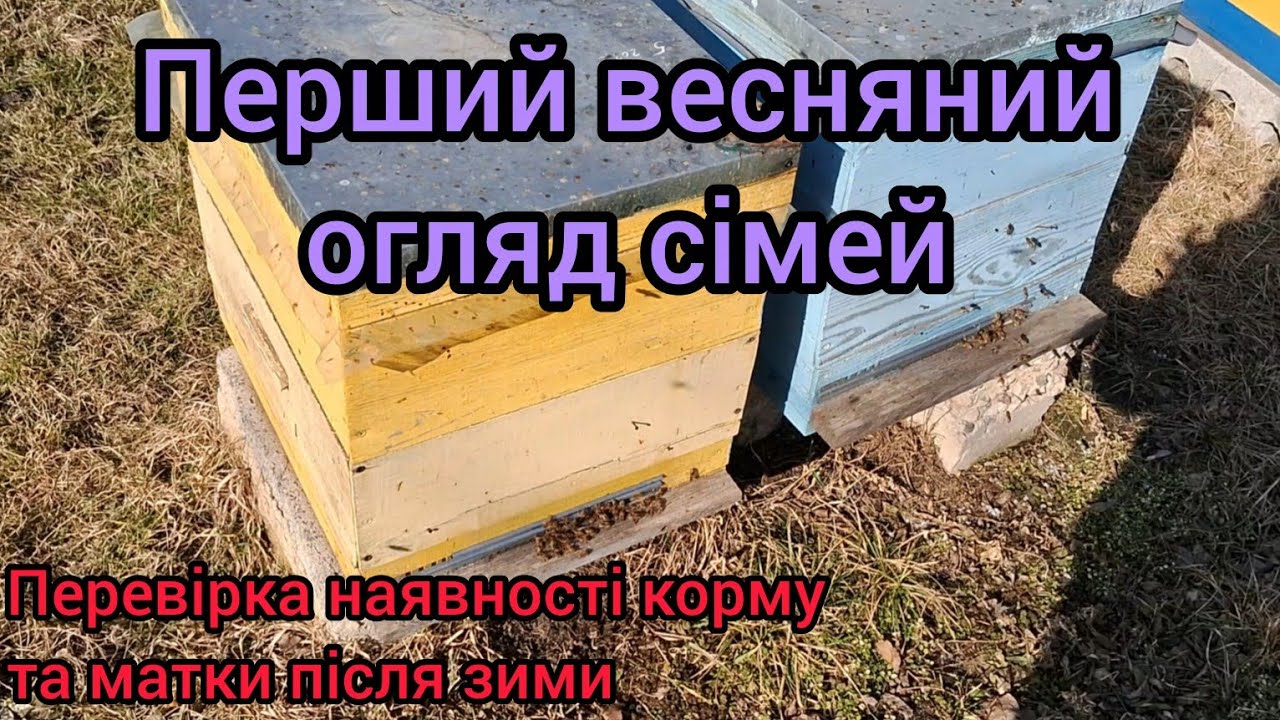 Весняна ревізія 2026. Підсумки зимівлі 