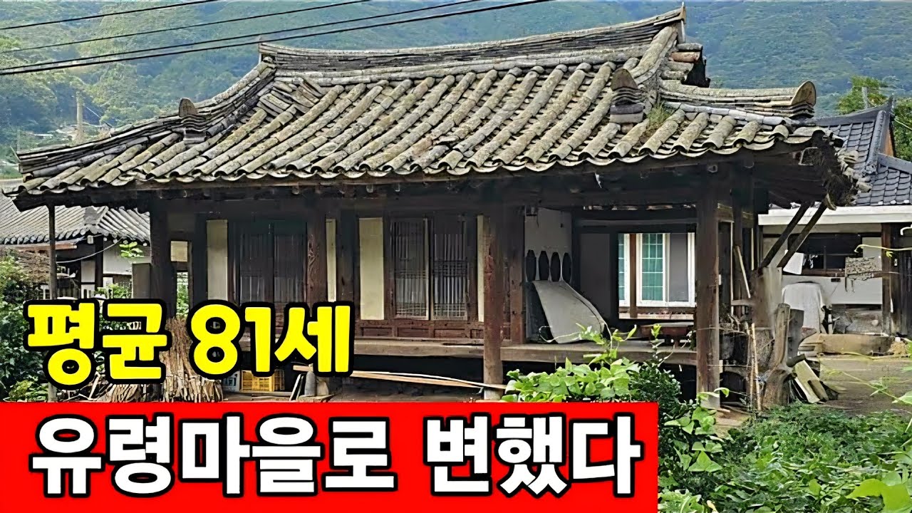 평균 81세. 노인도 사라지고 흉가만 넘친다 ♧ 구독자 30만 돌파