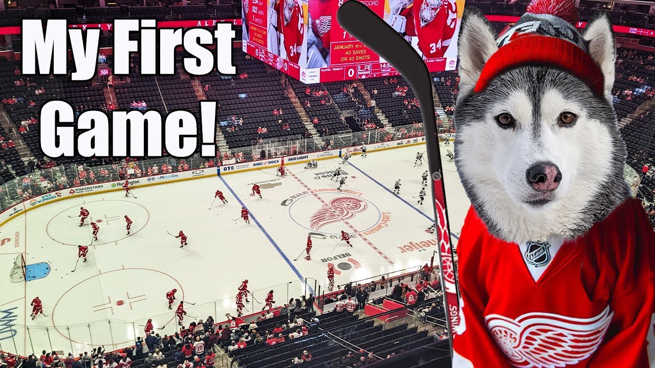 My Epic Hockey Game And Greg's Mission To Rescue The Dogs!
