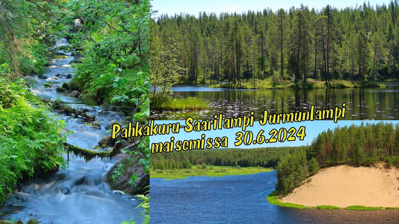 Pahkakuru-Saarilampi-Jurmunlampi maisemissa 30.6.2024