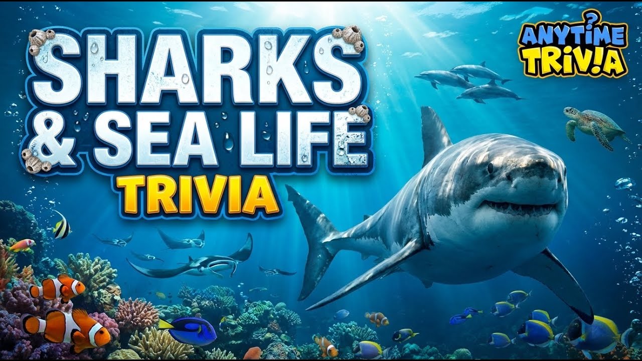 Sharks & Sea Life Trivia