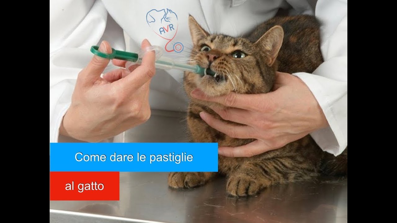 Come utilizzare la Sparapillole