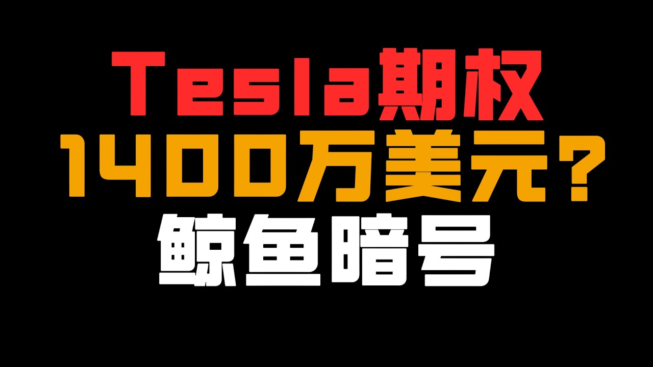 谁在赌Tesla三月暴涨？410期权鲸鱼解码