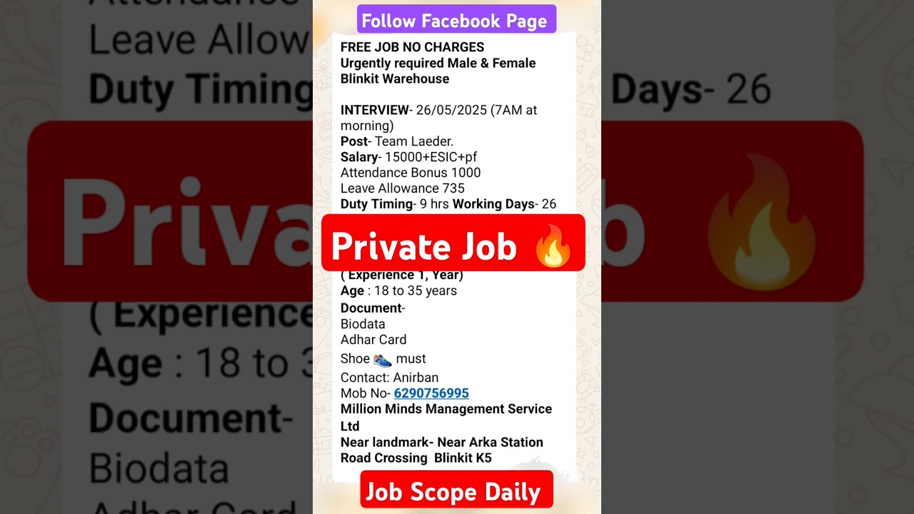 Blinkit Warehouse Job | Male Female #blinkit #jobopening #jobvacancy #jobs #jobsearch #viralvideo
