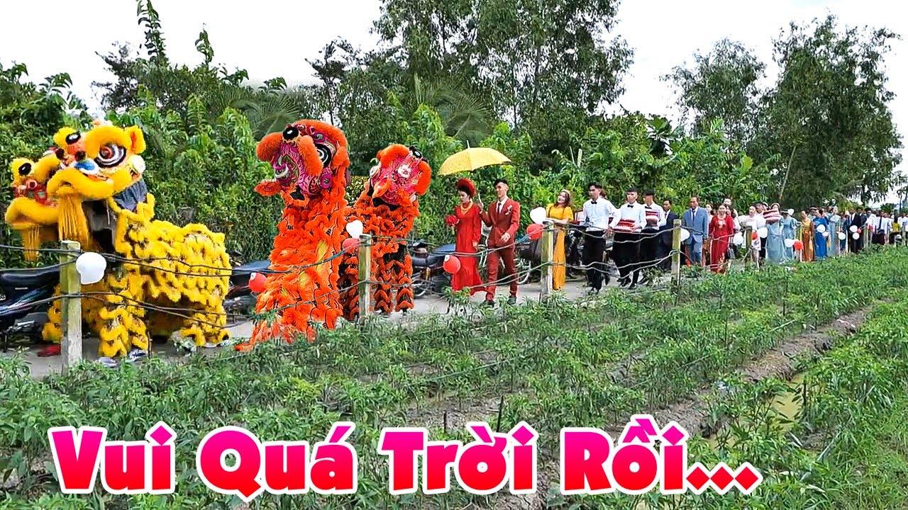 Đám Cưới Long An CHÚ RỂ RƯỚC CÔ DÂU BẰNG DÀN MÚA LÂN HOÀNH TRÁNG VUI HẾT BIẾT Rộn Ràng Cả Làng Quê