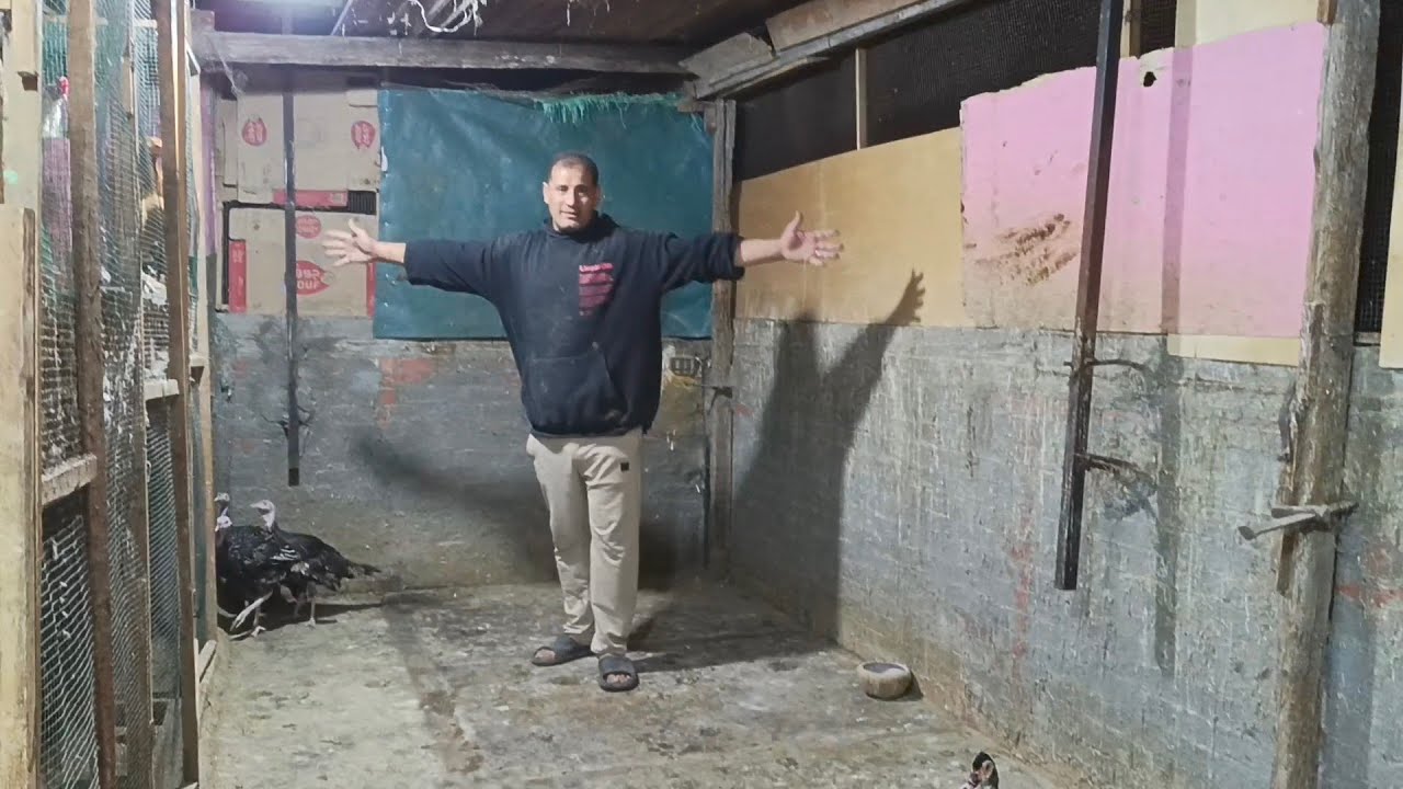 زعلانه بس غصب عني اول مره من سنين اشوف السطوح كده