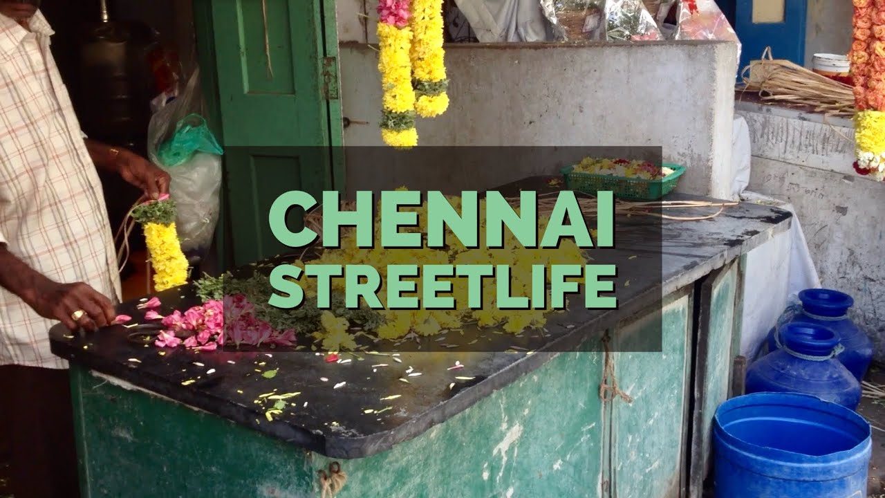 Chennai streetlife | INDIA