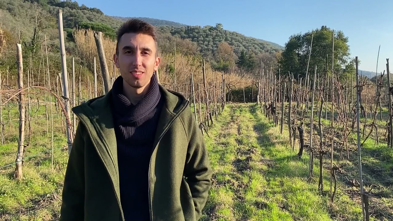 Guyot: Tutorial Su Come Potare.